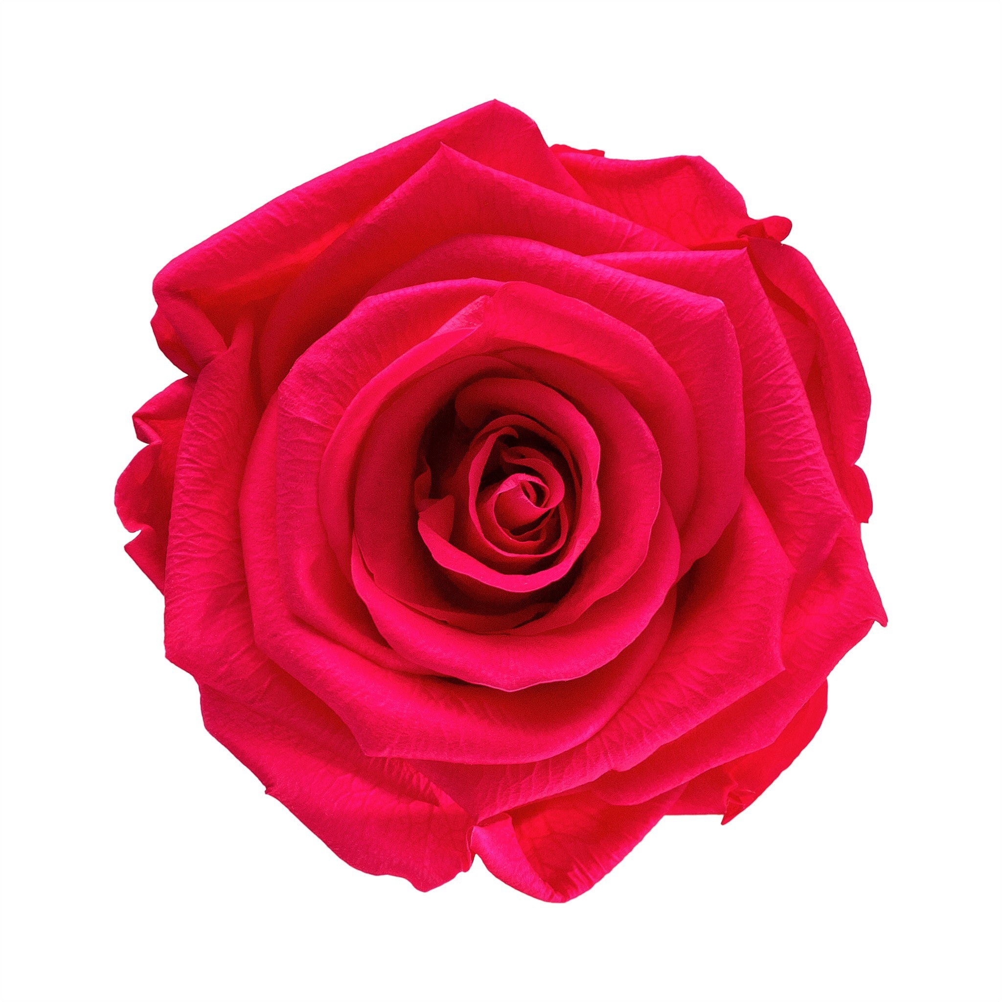 Forever Roses & S Round White Box – Flowers First